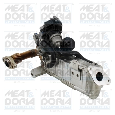 EGR Module